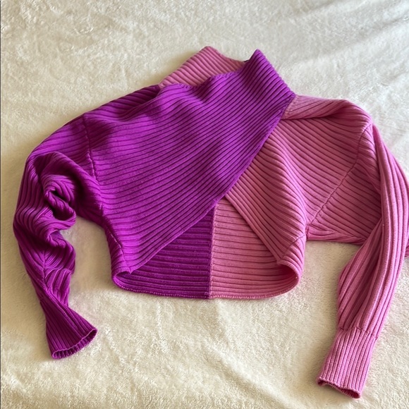 AMUR Sweaters - Amur Pink and Purple Cropped Sweater